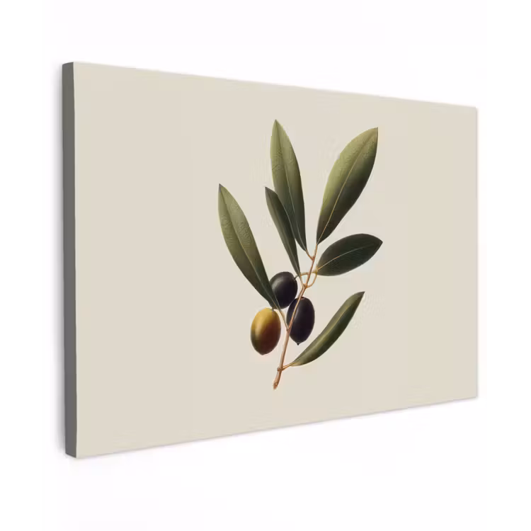 Canvas schilderij - Olijftak - Donkergroen - Olijven — 1