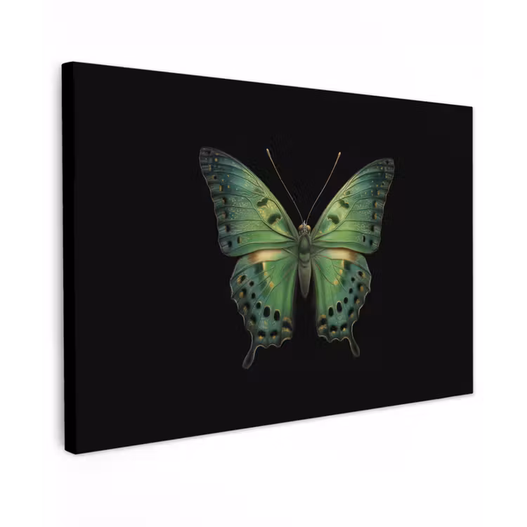 Canvas schilderij - Vlinder - Groen - Diepte — 1