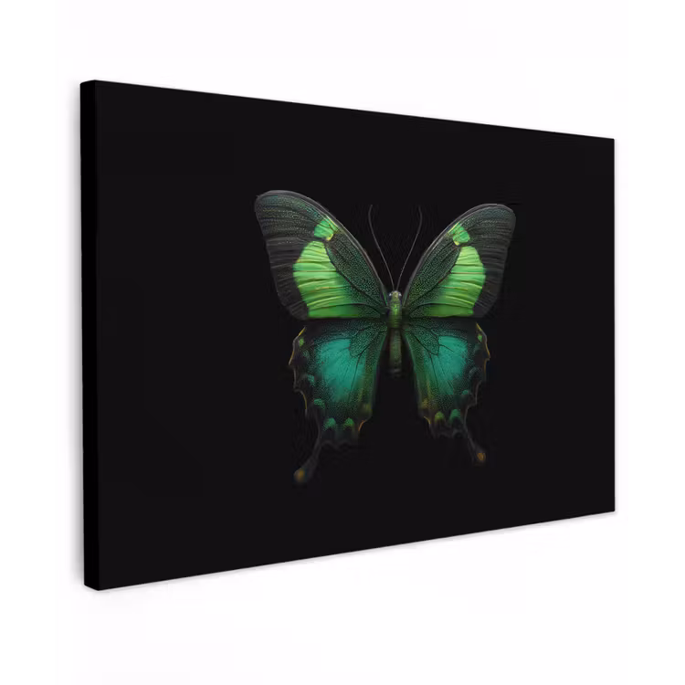 Canvas schilderij - Vlinder - Groen - Opvallend — 1