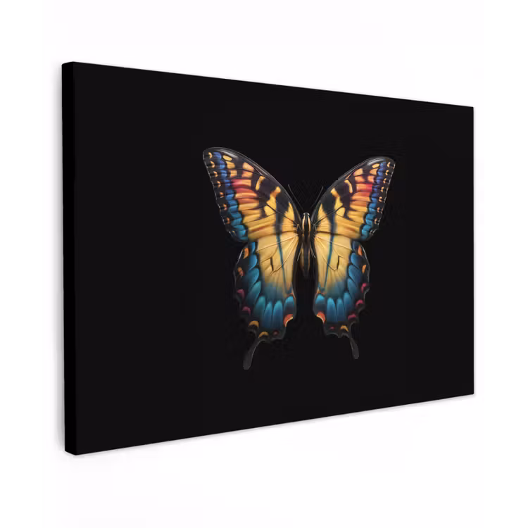Canvas schilderij - Vlinder - Kleurrijk - Speels — 1