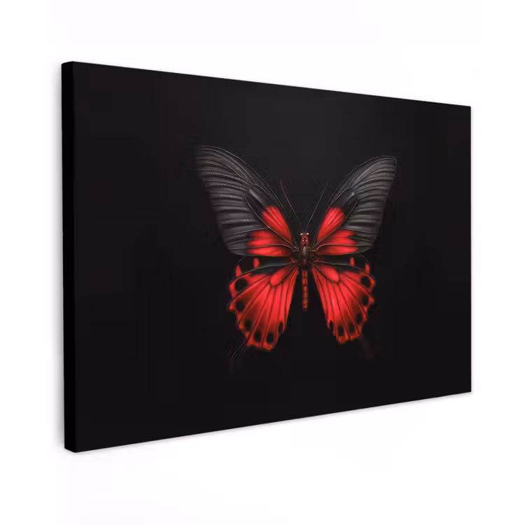 Canvas schilderij - Vlinder - Rood - Contrast — 1