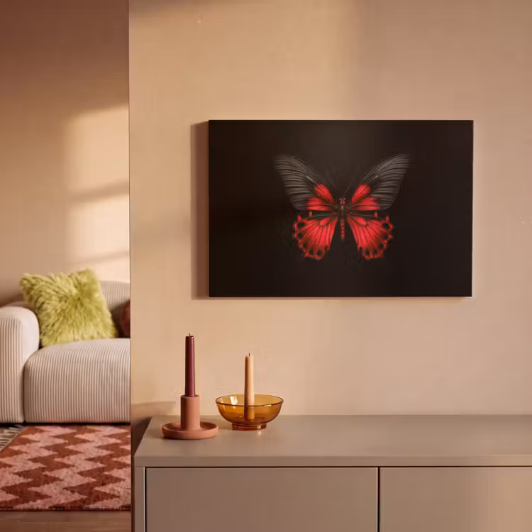 Canvas schilderij - Vlinder - Rood - Contrast — 2