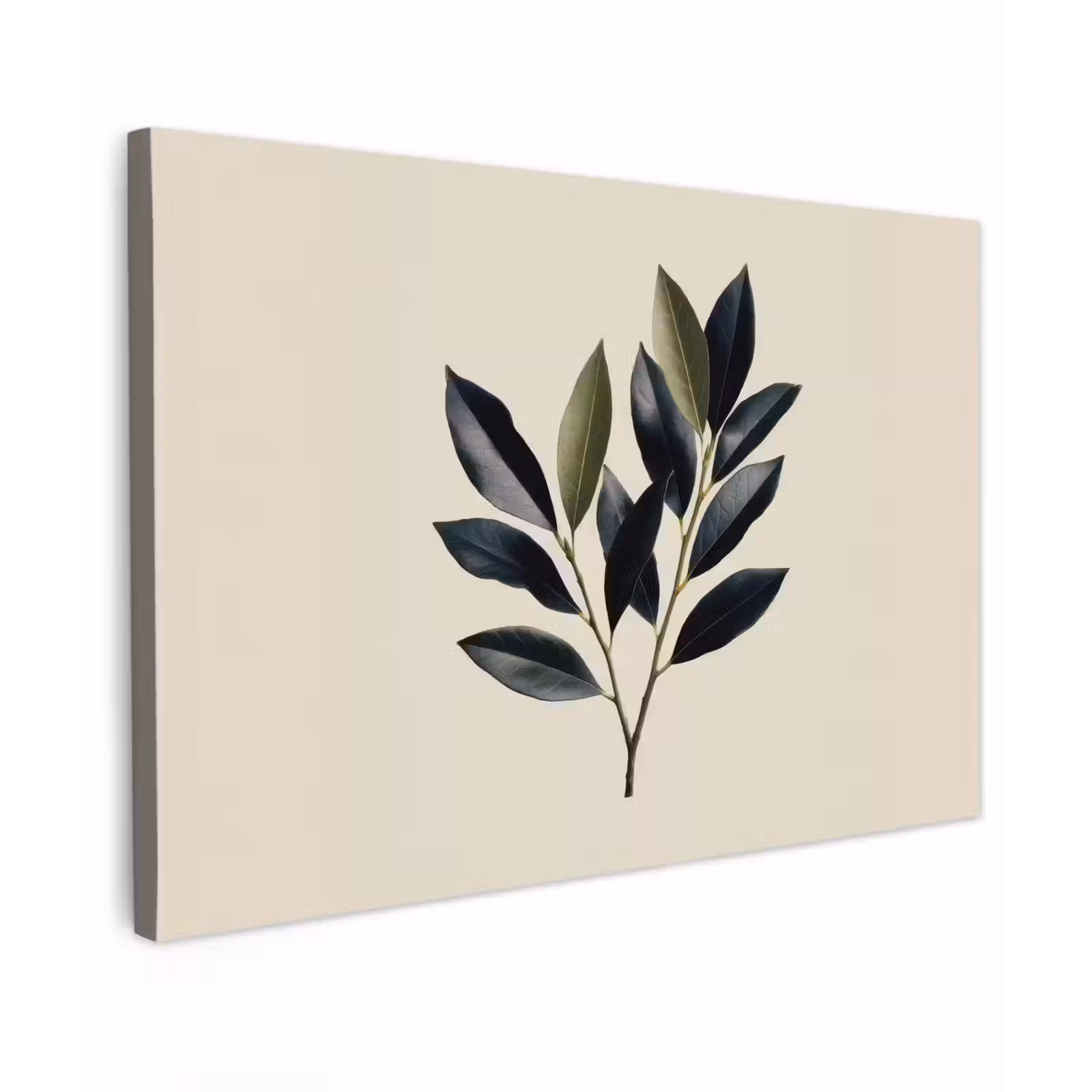 Canvas schilderij - Ovaal - Olijfgroen - Simpel — 1