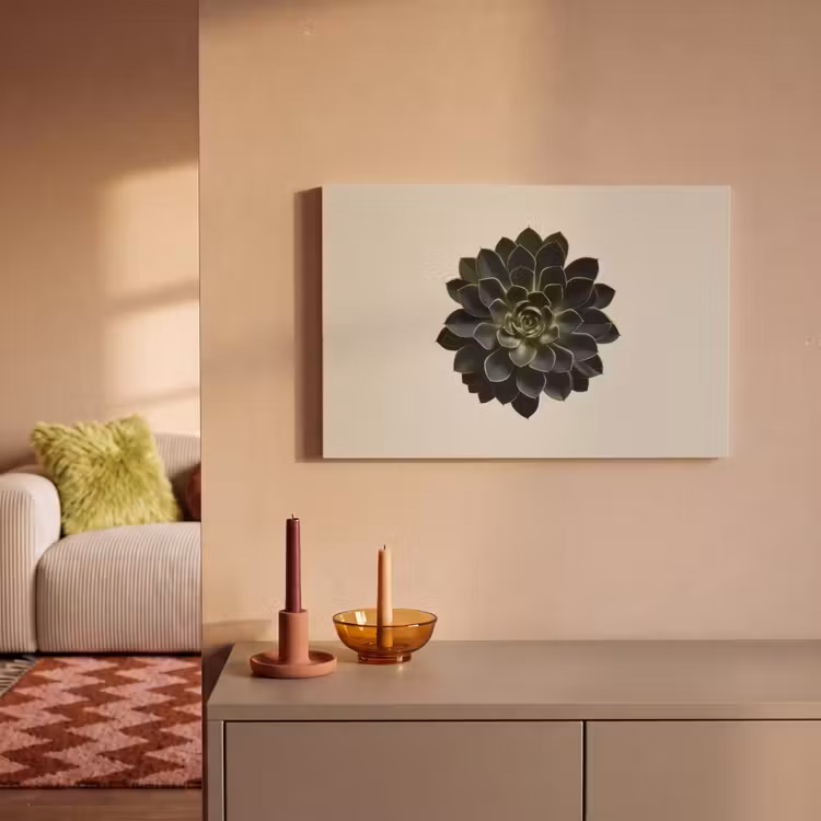 Canvas schilderij - Rozet - Cirkelvormig - Donkergroen — 2