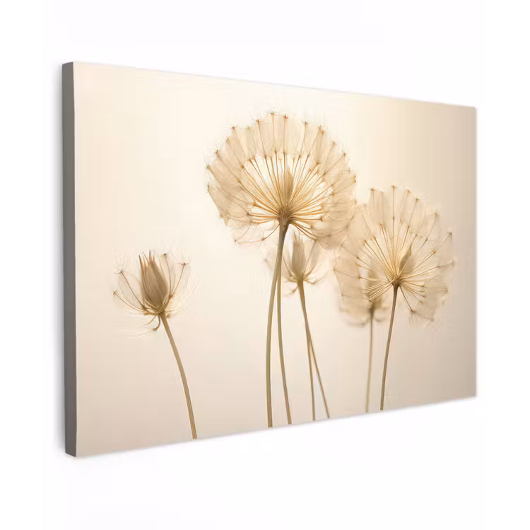 Canvas schilderij - Zonlicht - Dandelion - Bloem - Wit — 1