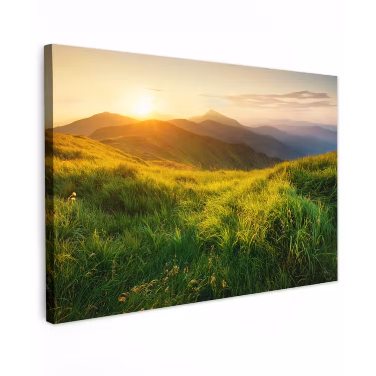 Canvas schilderij - Gras - Heuvels - Zon - Natuur - Landschap — 1