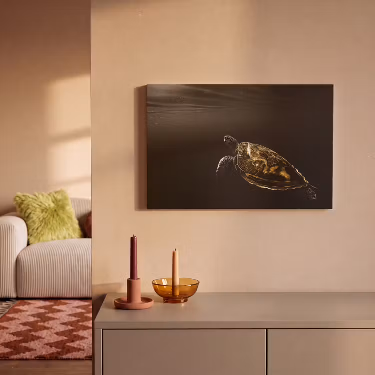 Canvas schilderij - Schildpad - Zwart - Goud — 2