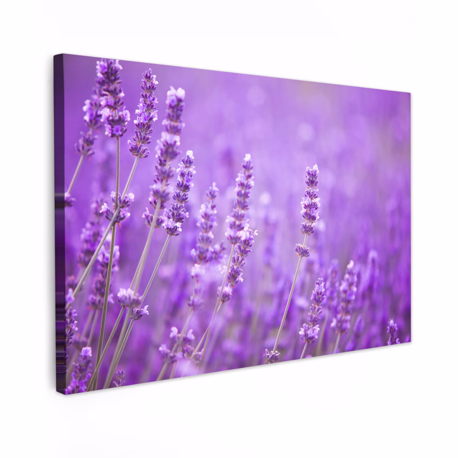 Canvas schilderij - Lavendel - Close-up - Bloemen - Paars — 1