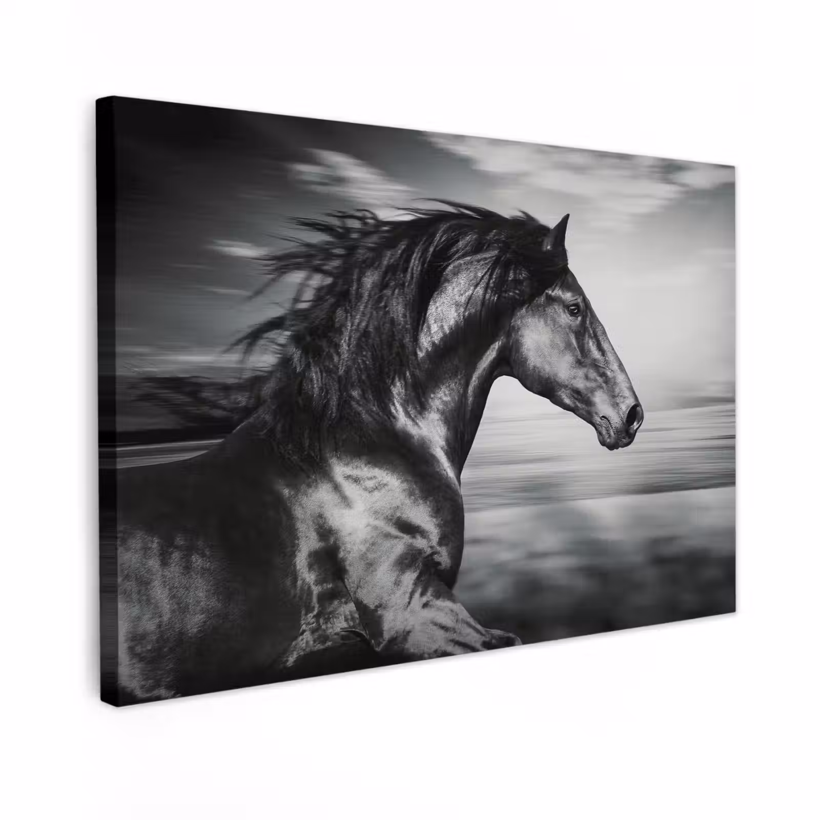 Canvas schilderij - Paard - Dieren - zwart - Wit — 1