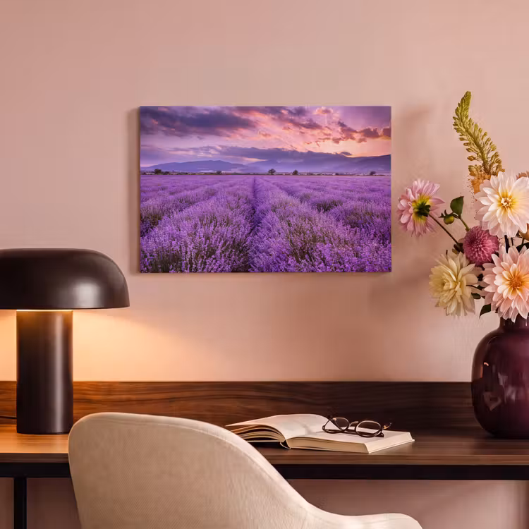 Canvas schilderij - Lavendel - Paars - Bloemen - Veld — 4