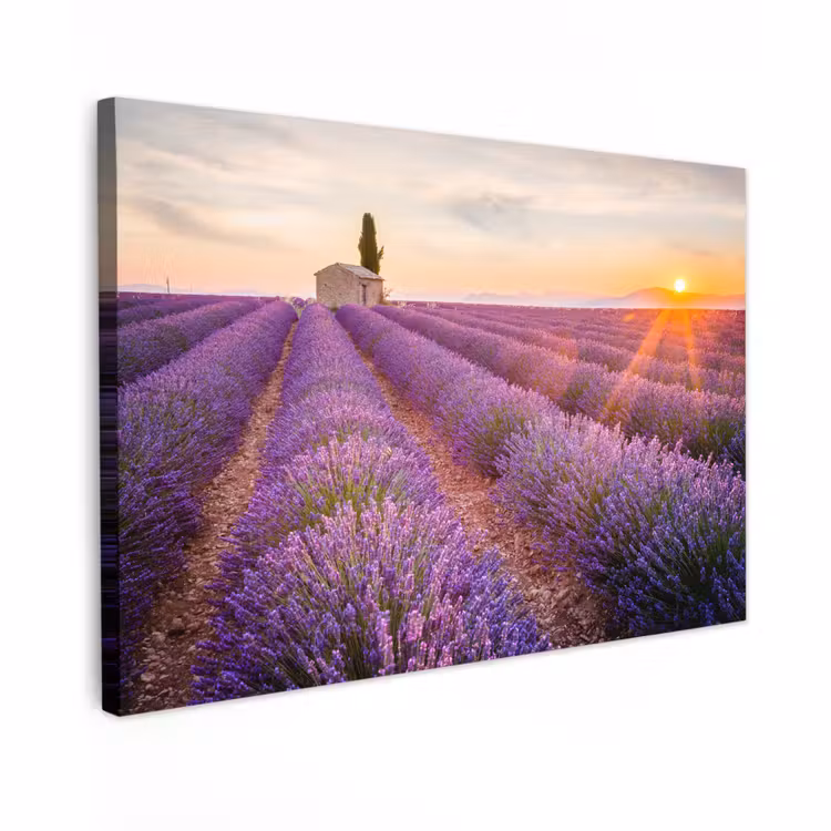 Canvas schilderij - Lavendel - Zonsondergang - Bloemen - Paars — 1