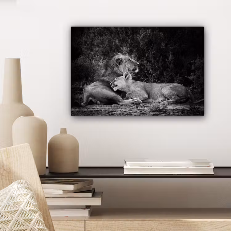Canvas schilderij - Leeuwen - Zwart - Wilde dieren — 5