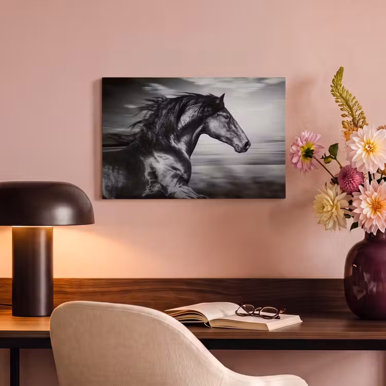 Canvas schilderij - Paard - Dieren - zwart - Wit — 4