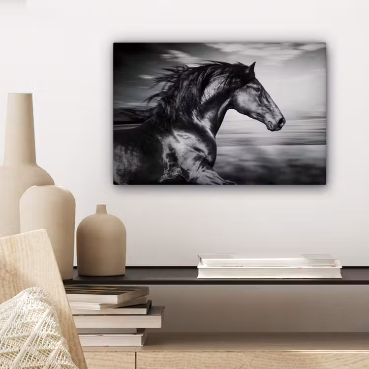 Canvas schilderij - Paard - Dieren - zwart - Wit — 5