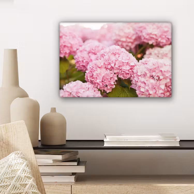 Canvas schilderij - Struik - Bloemen - Roze - Hortensia — 5