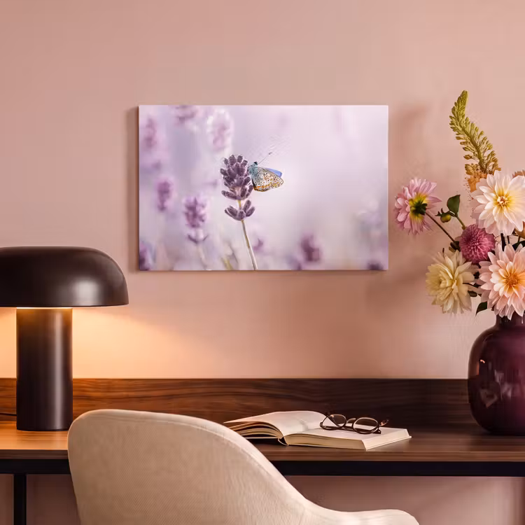 Canvas schilderij - Lavendel - Vlinder - Close-up - Paars — 4