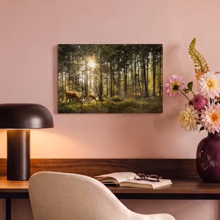 Canvas schilderij - Hert - Natuur - Bos — 4