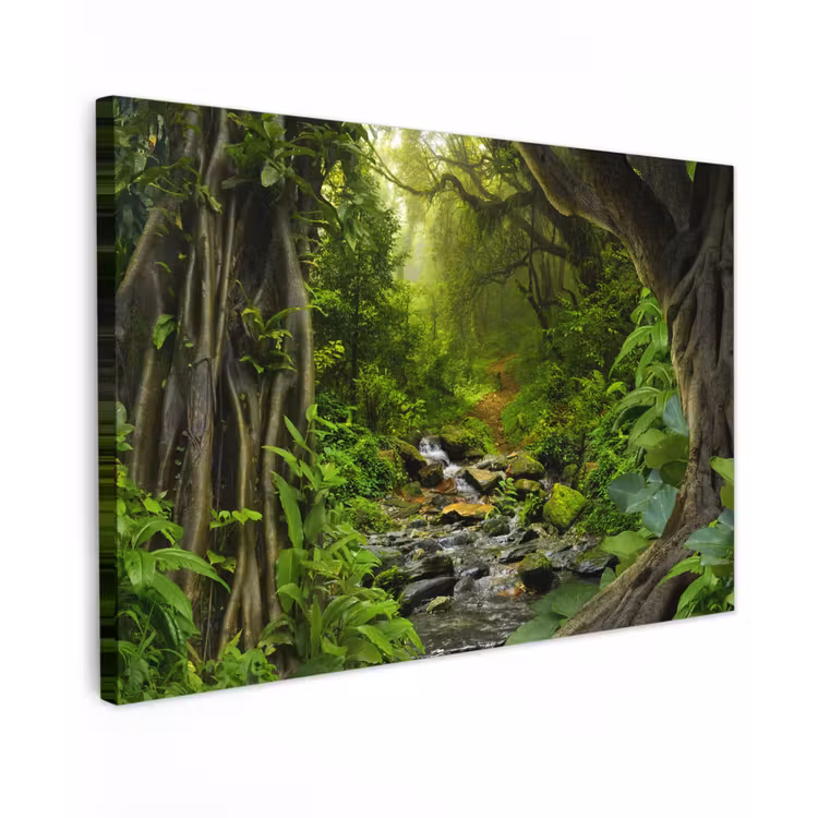 Canvas schilderij - Natuur - Water - Jungle - Bos - Tropisch — 1