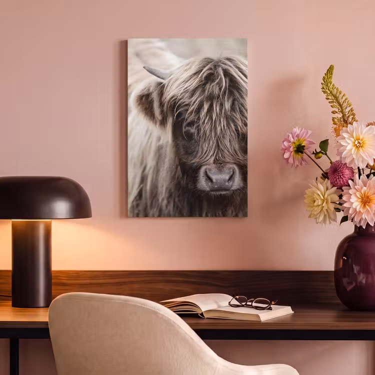 Canvas schilderij - Schotse Hooglander - Dieren - Hoorn — 4