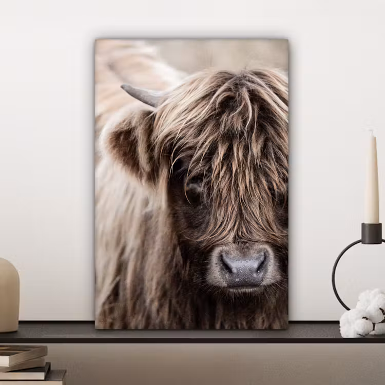 Canvas schilderij - Schotse Hooglander - Dieren - Hoorn — 5