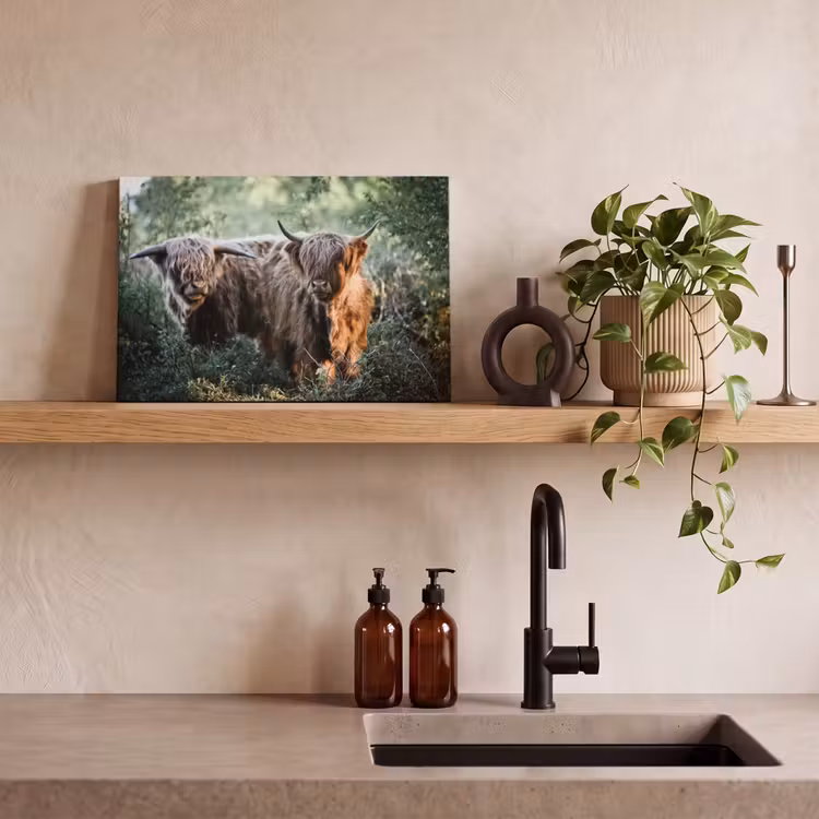 Canvas schilderij - Schotse Hooglanders - Bos - Dieren — 3