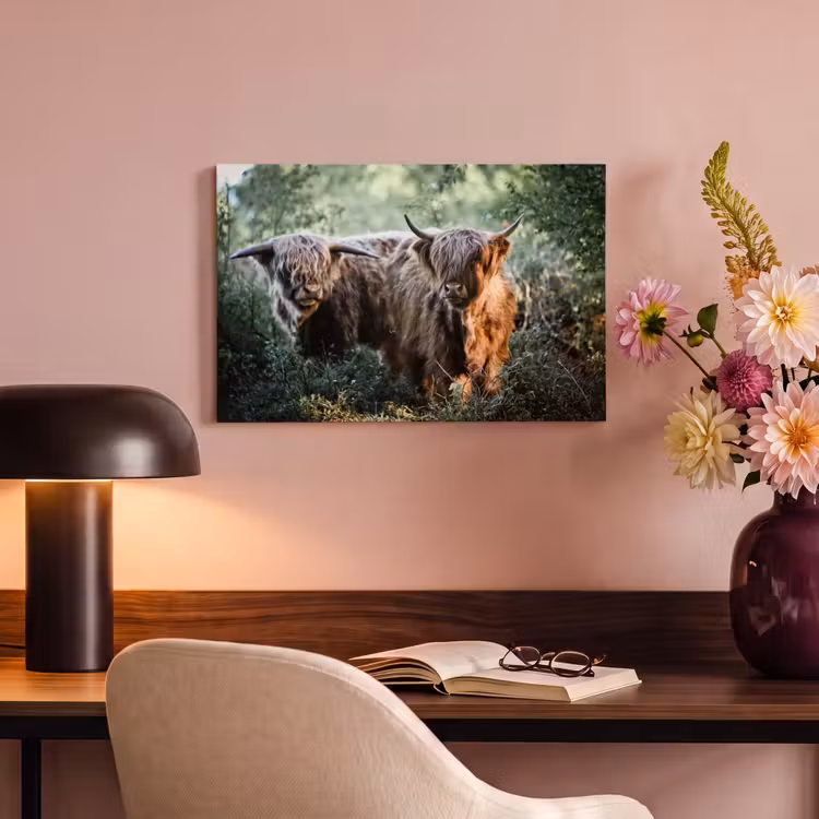 Canvas schilderij - Schotse Hooglanders - Bos - Dieren — 4