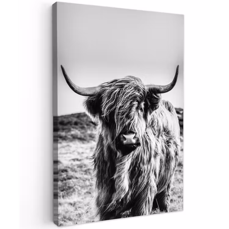 Canvas schilderij - Schotse hooglander - Zwart - Wit — 1