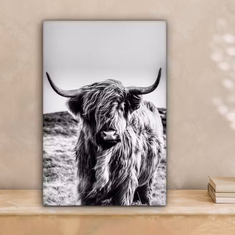 Canvas schilderij - Schotse hooglander - Zwart - Wit — 2