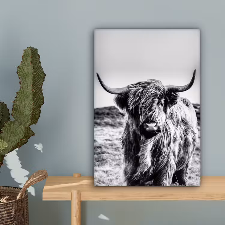 Canvas schilderij - Schotse hooglander - Zwart - Wit — 4