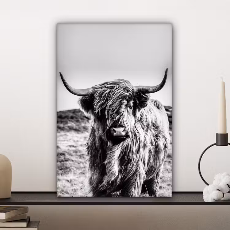 Canvas schilderij - Schotse hooglander - Zwart - Wit — 5