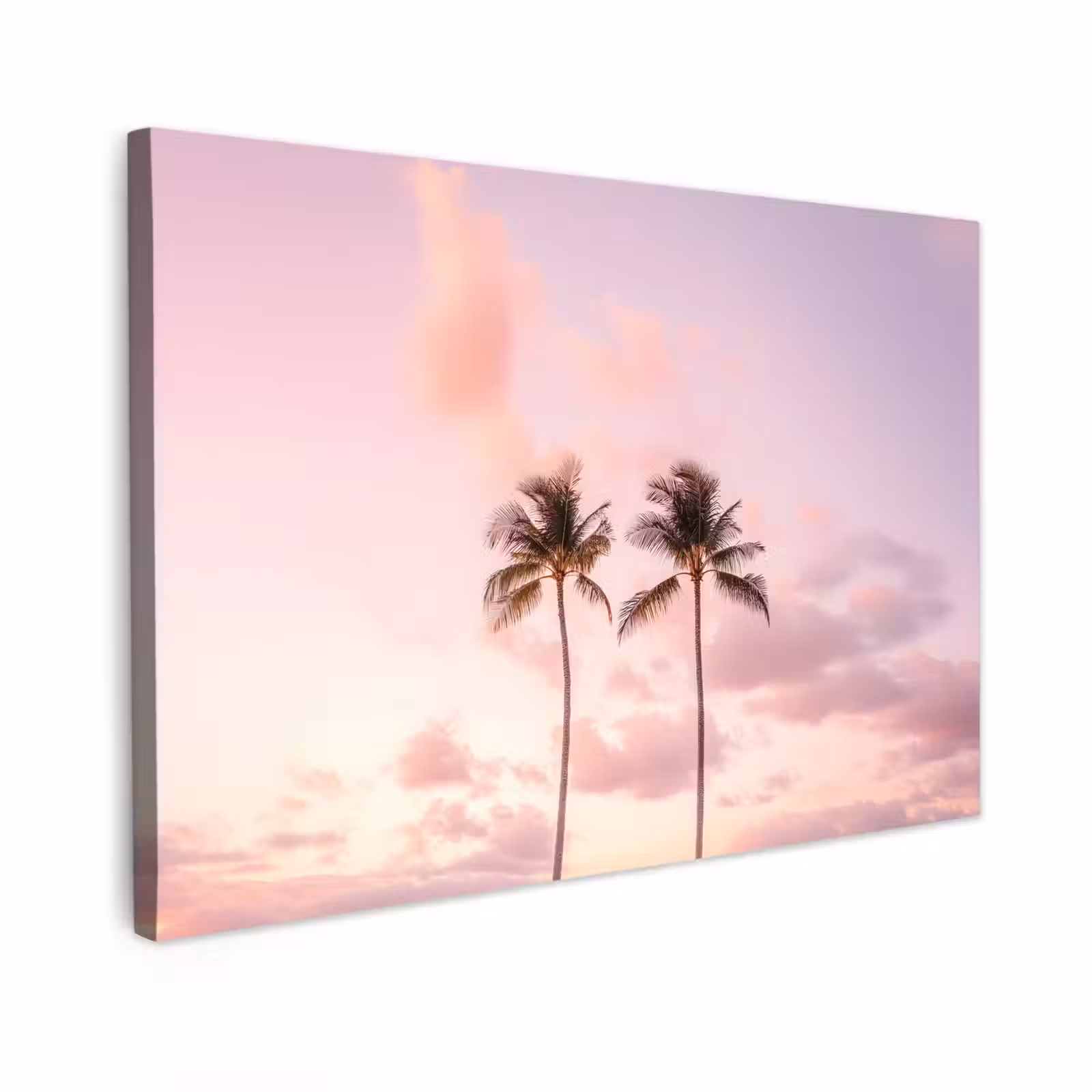 Canvas schilderij - Palmbomen - Paars - Wolken - Lucht — 1