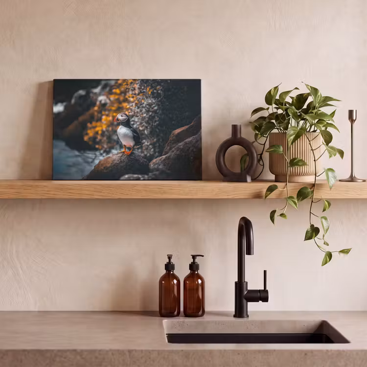 Canvas schilderij - Papegaai - Vogel - Rots - Wit — 3