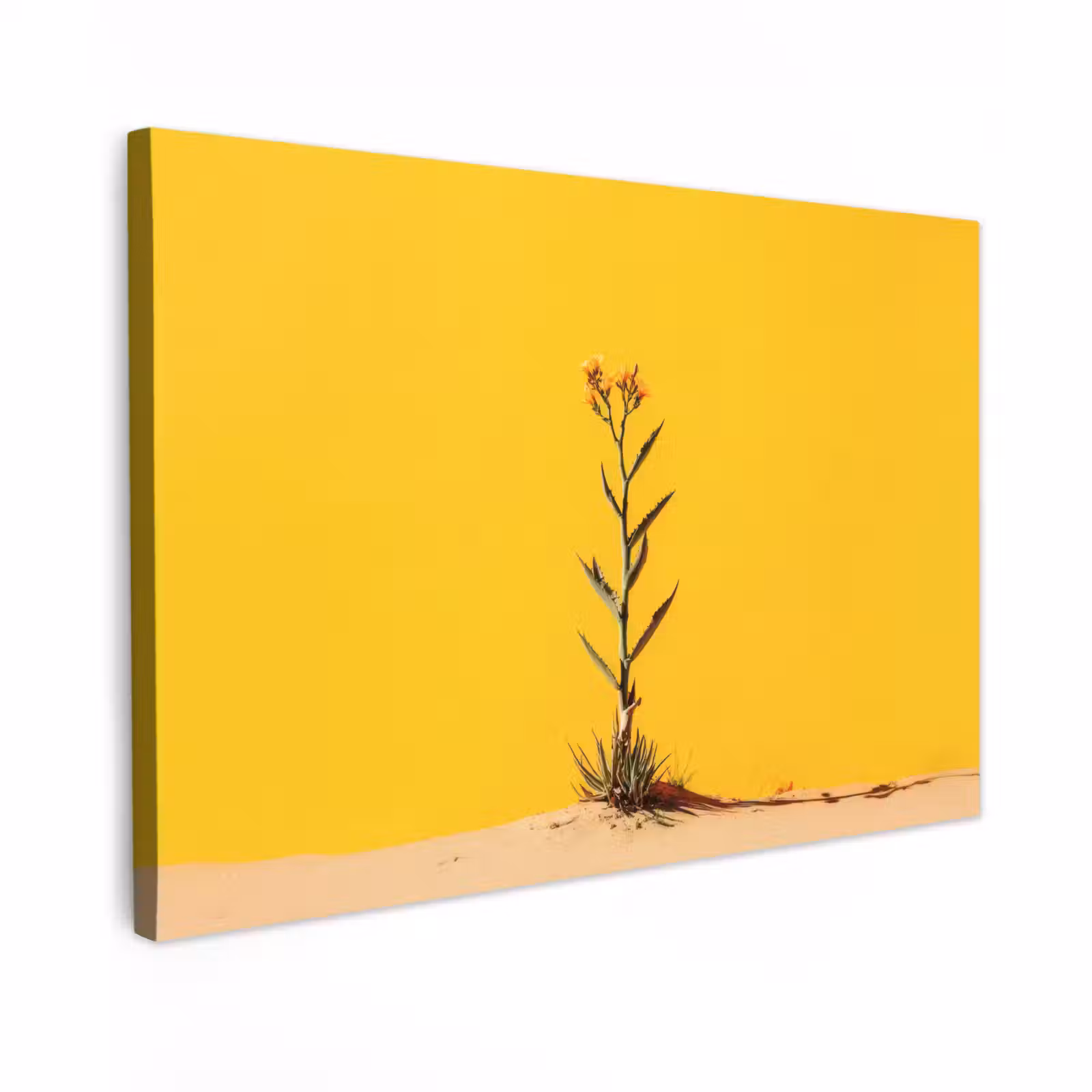 Canvas schilderij - Zand - Plant - Geel - Minimalitisch — 1