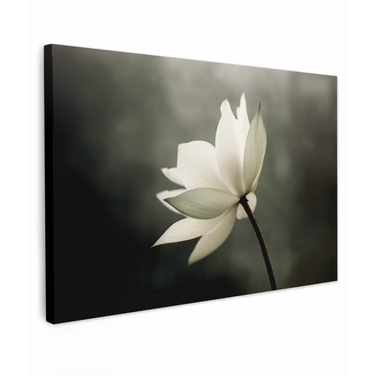 Canvas schilderij - Wit - Lotus - Donker - Bloem — 1