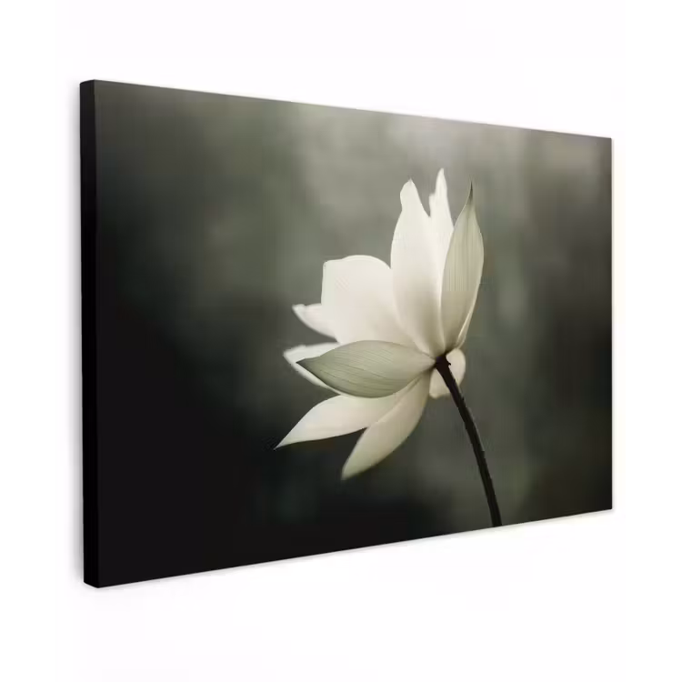 Canvas schilderij - Wit - Lotus - Donker - Bloem — 1