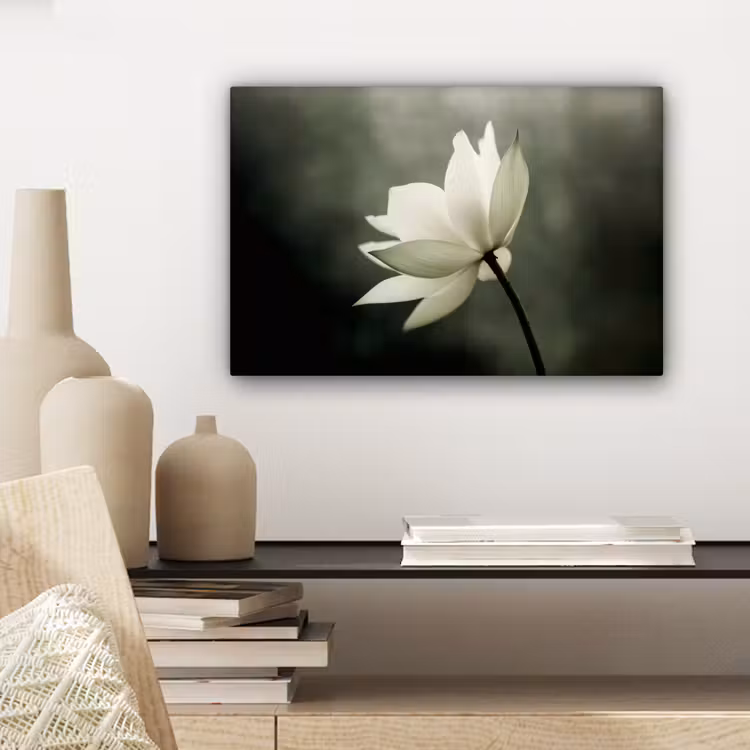 Canvas schilderij - Wit - Lotus - Donker - Bloem — 5