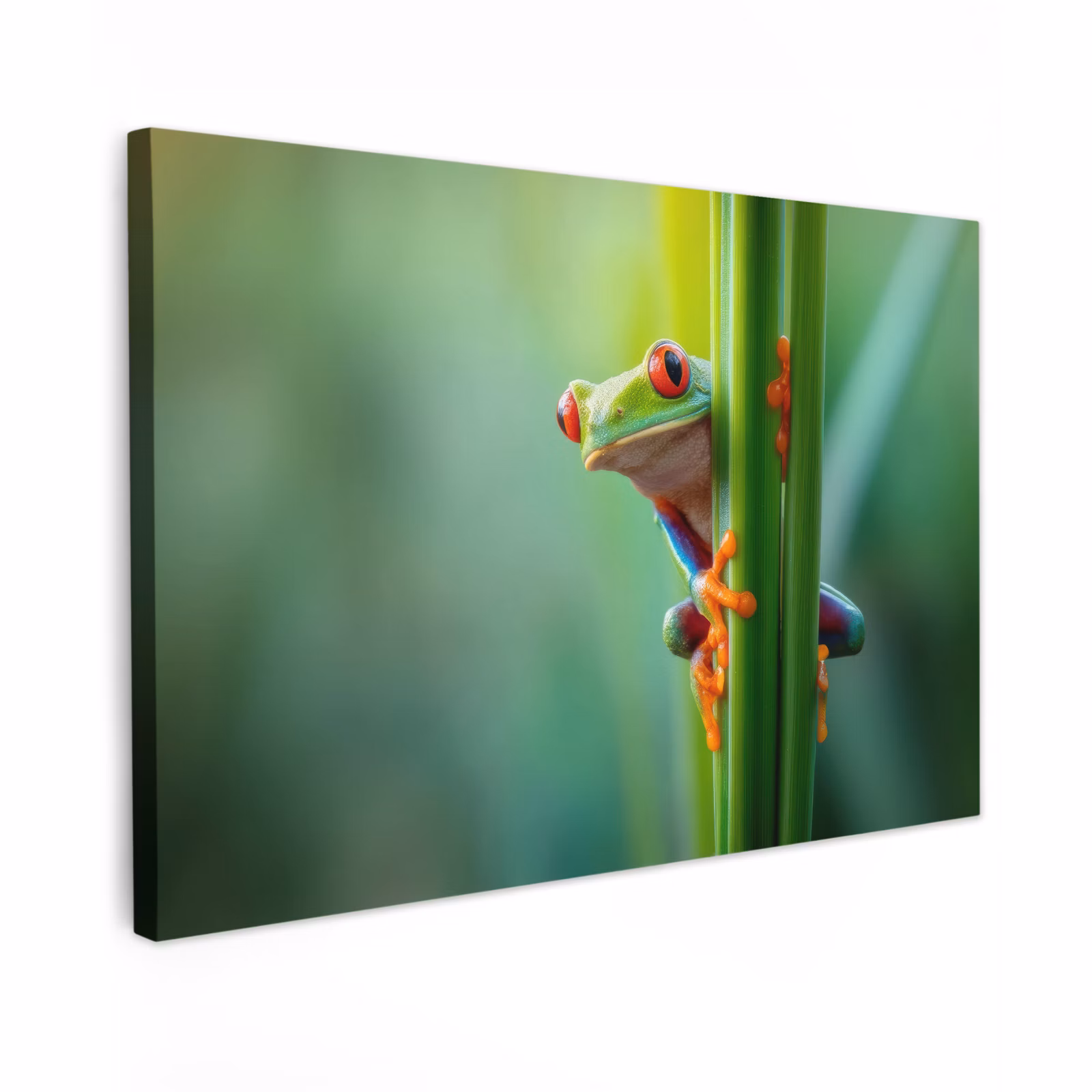 Canvas schilderij - Groene kikker - Nieuwsgierig - Gras — 1