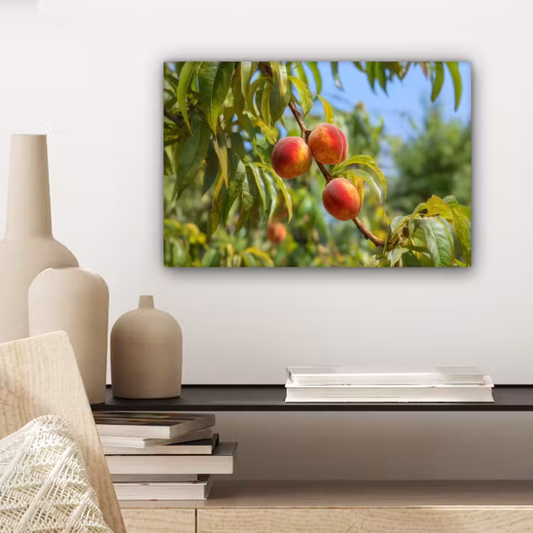 Canvas schilderij - Perzik - Bladeren - Zonlicht — 5