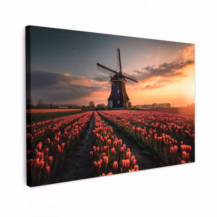 Canvas schilderij - Molen - Zonsondergang - Tulpen - Rood — 1