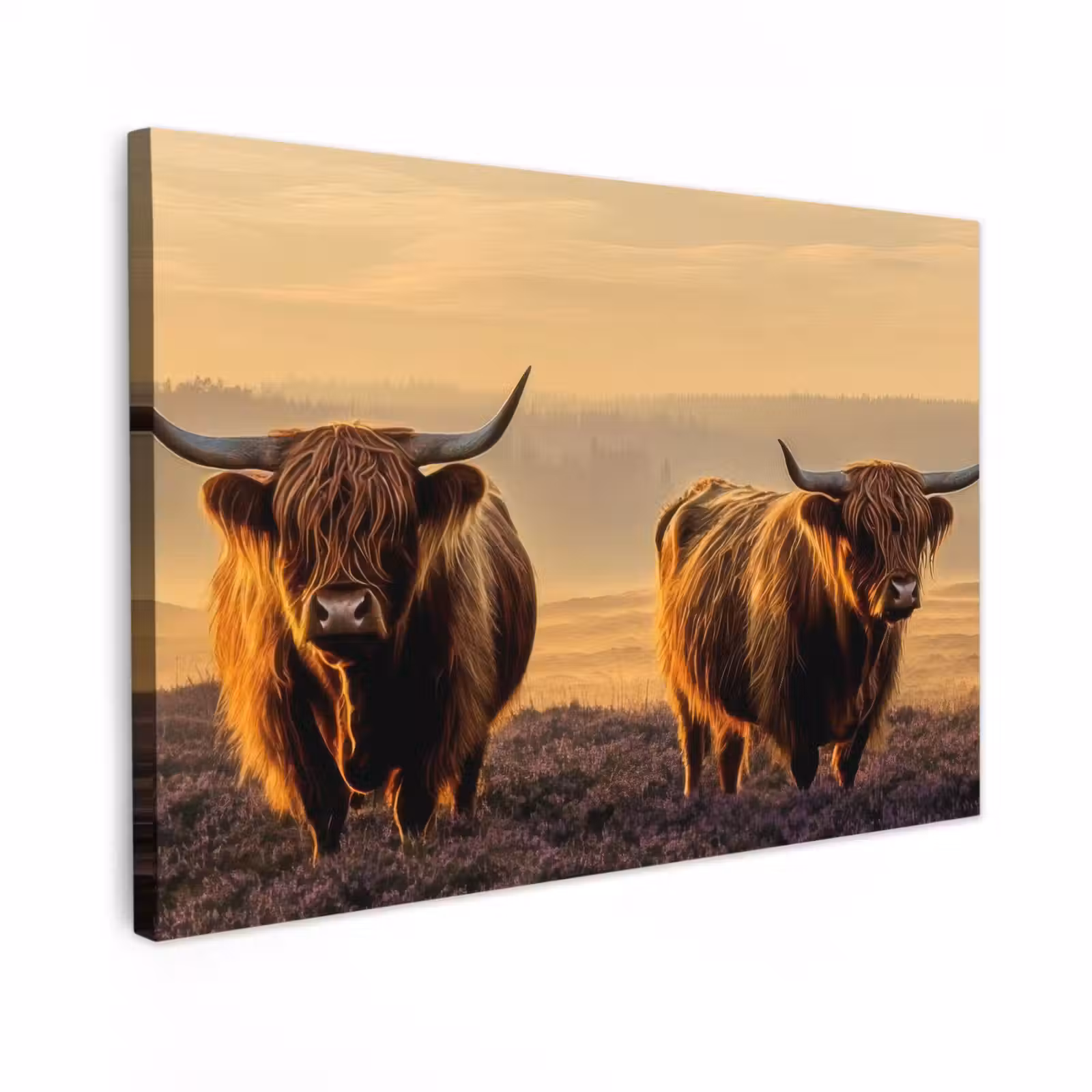 Canvas schilderij - Schotse hooglanders - Heide - Landschap - Dieren — 1