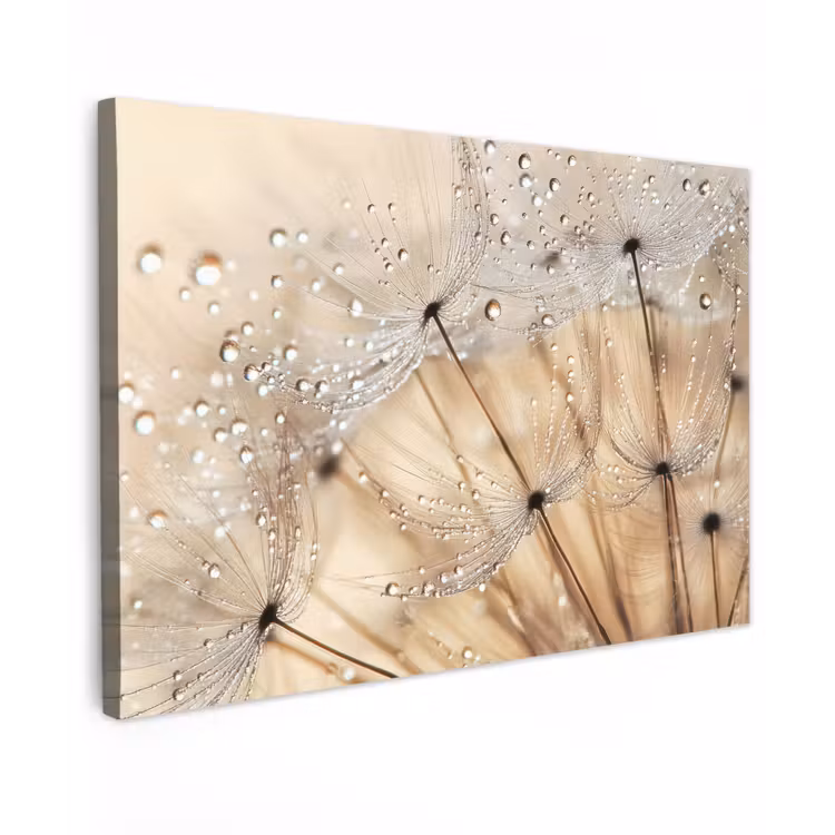 Canvas schilderij - Paardenbloem - Abstract - Natuur - Beige — 1