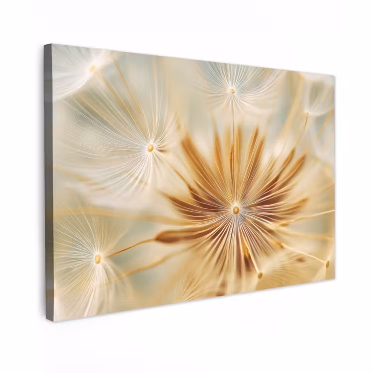 Canvas schilderij - Paardenbloem - Beige - Abstract - Modern - Natuur — 1