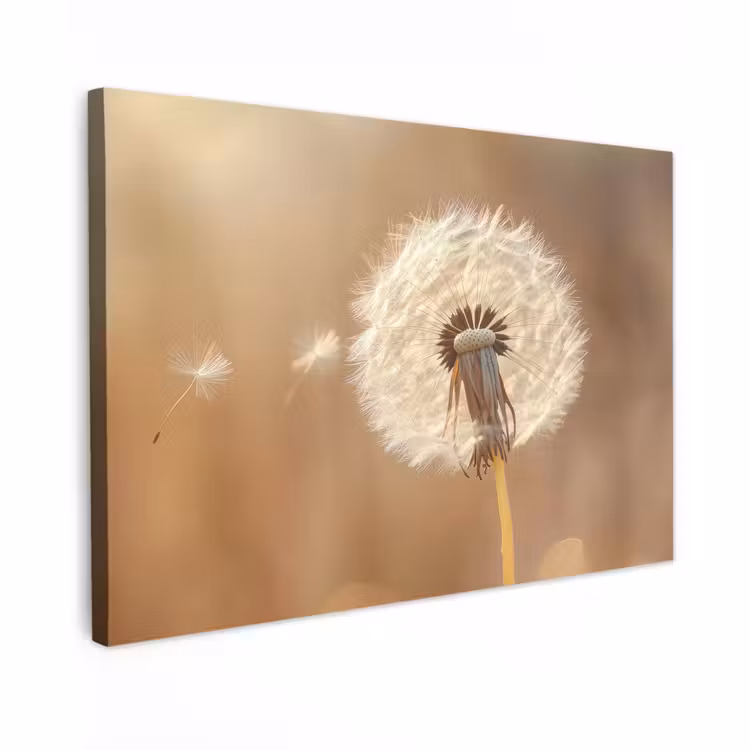 Canvas schilderij - Paardenbloem - Beige - Natuur - Bloem — 1