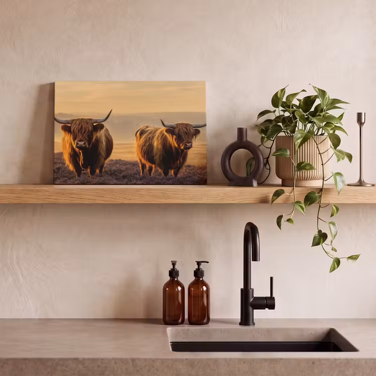 Canvas schilderij - Schotse hooglanders - Heide - Landschap - Dieren — 3
