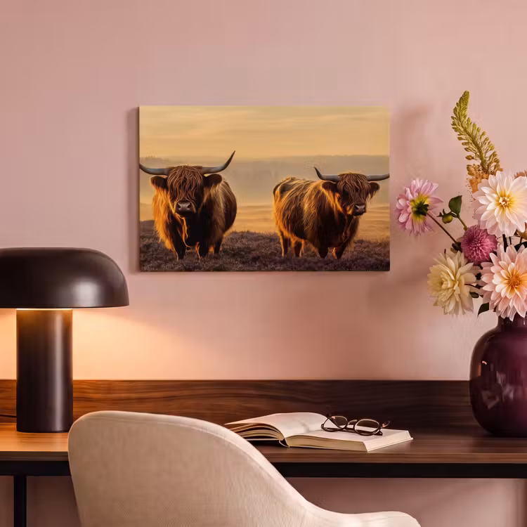 Canvas schilderij - Schotse hooglanders - Heide - Landschap - Dieren — 4