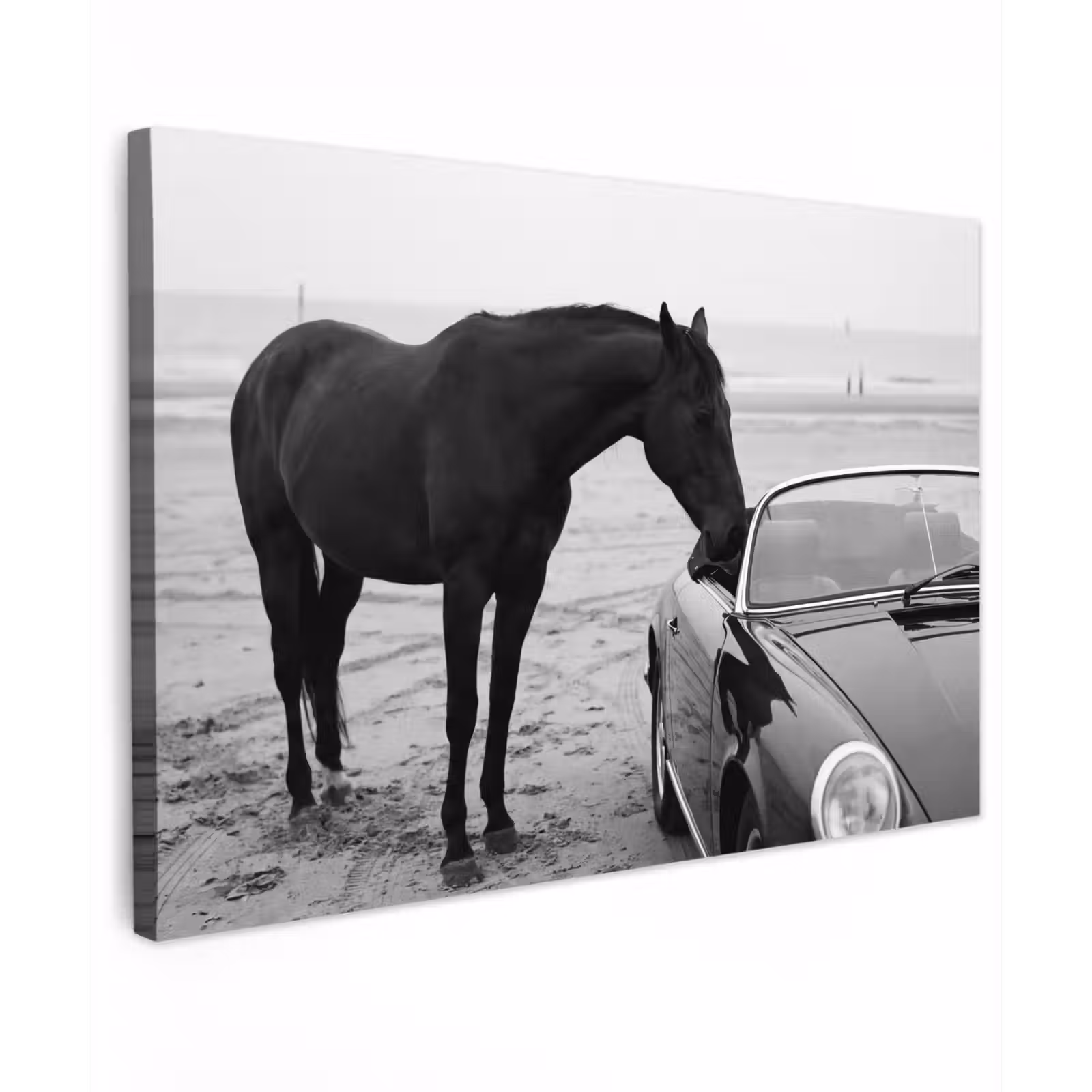 Canvas schilderij - Paard - Auto - Zwart - Wit — 1