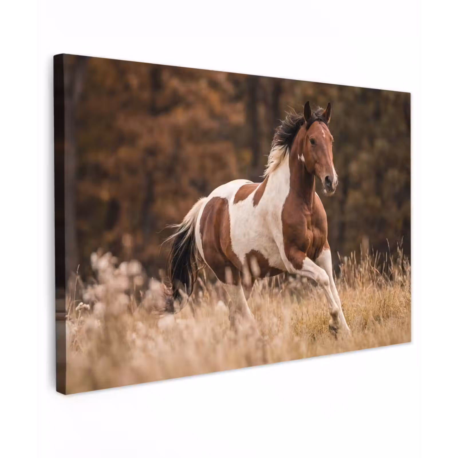 Canvas schilderij - Paard - Bruin - Gras — 1