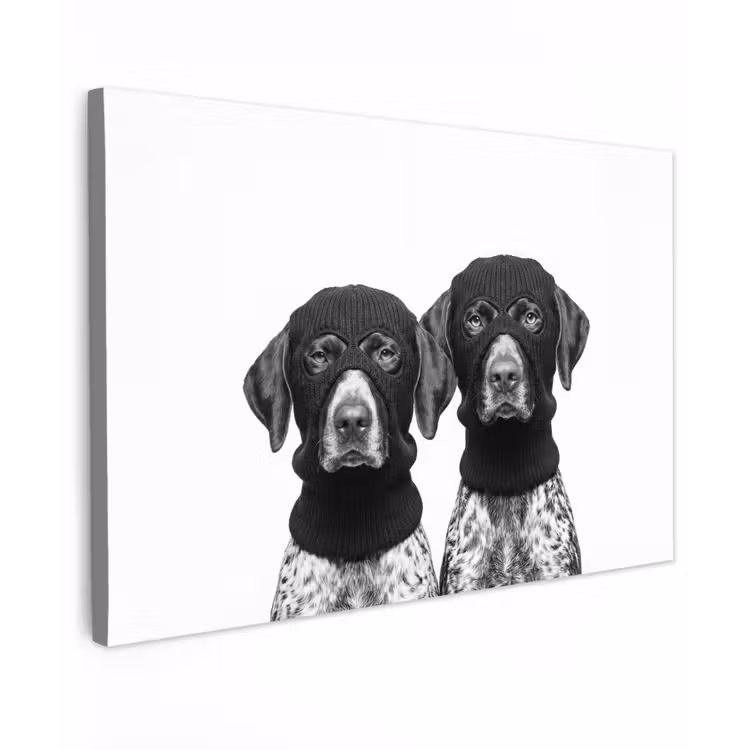 Canvas schilderij - Honden - Bivakmuts - Zwart - wit — 1