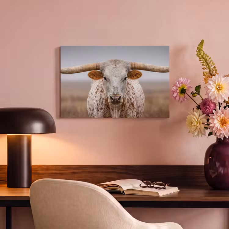 Canvas schilderij - Longhorn - Grasveld - Dier — 4
