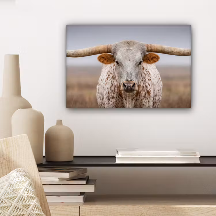 Canvas schilderij - Longhorn - Grasveld - Dier — 5